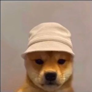 Meet your Posher, Kiara